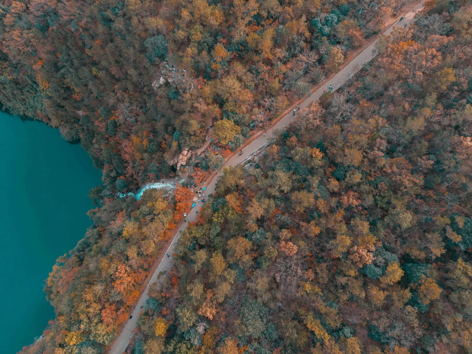 A road between an autumn forest and a lake (sample image)