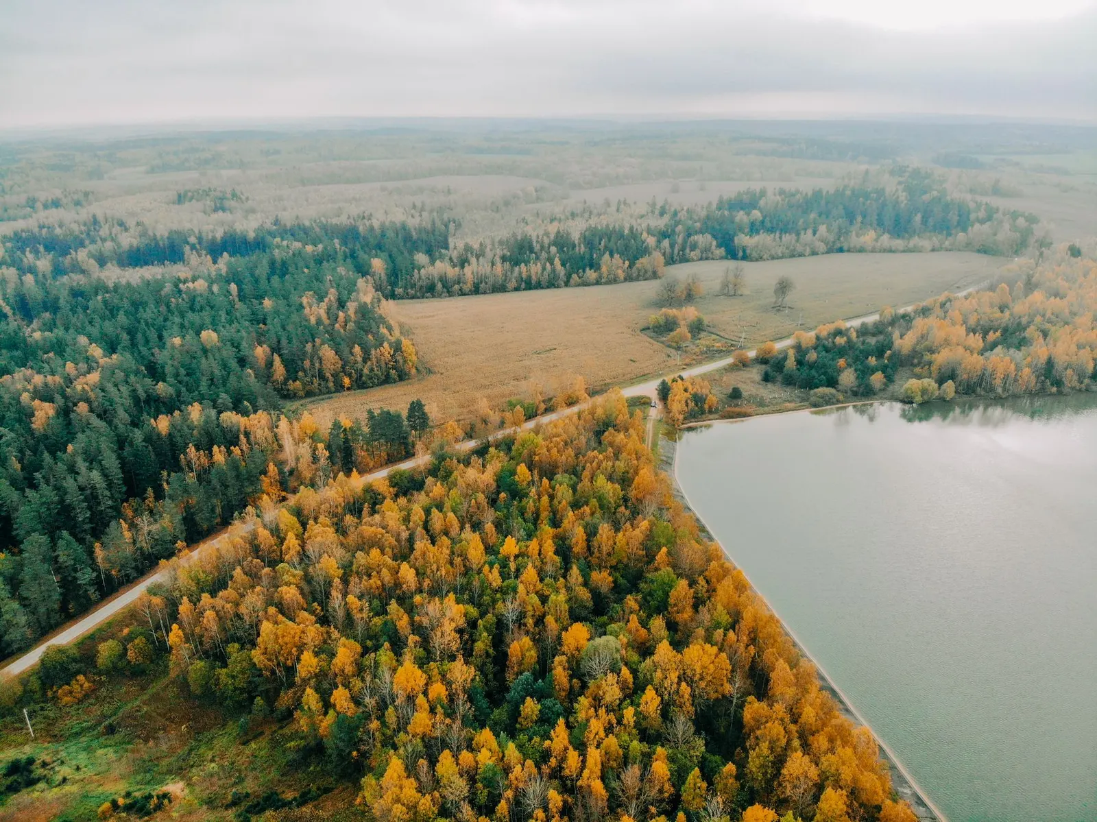 An autumn lake from above (sample image)