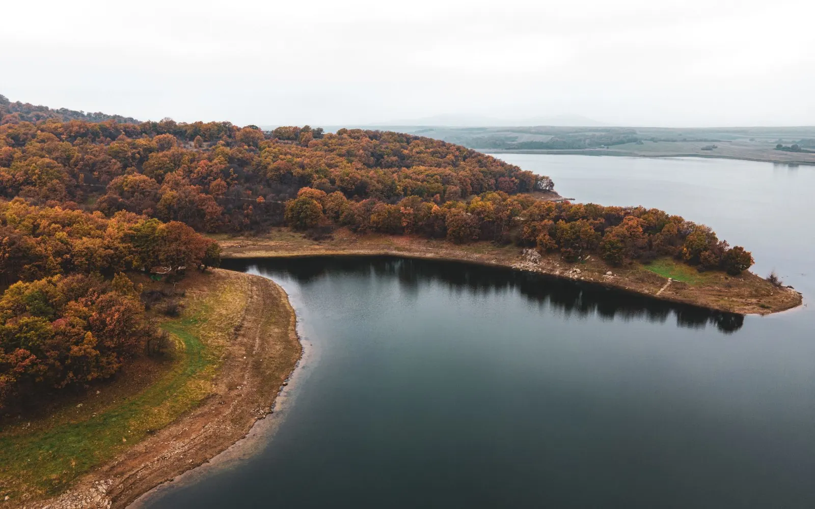 A lake bend and forested shore from above (sample image)
