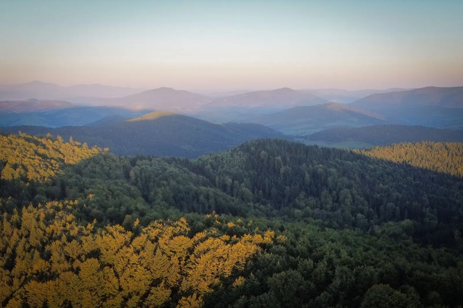 Aerial view of forested ridges at golden hour (sample image)