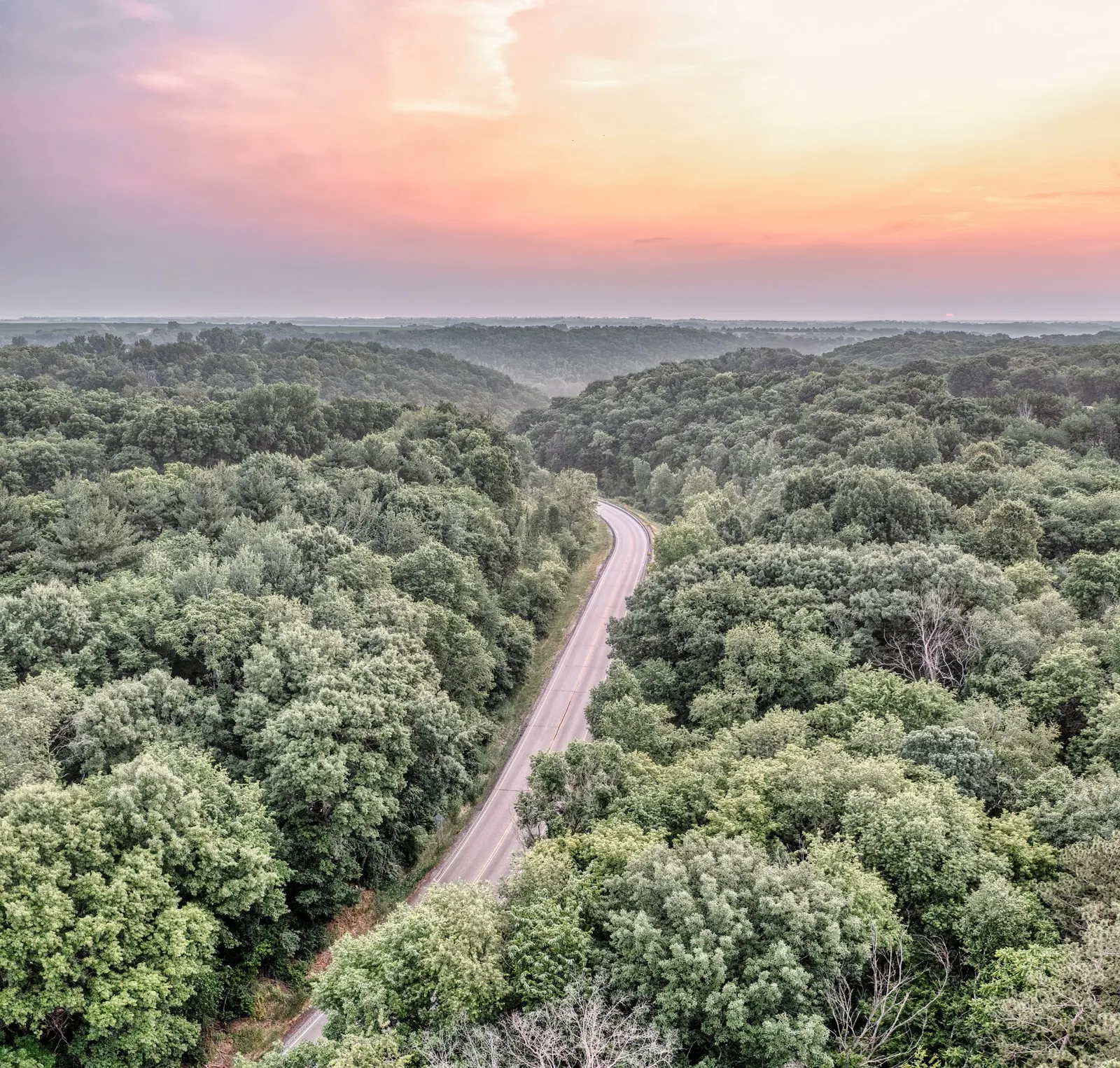 Aerial view of a road winding through a forest under a pink sky (sample image)