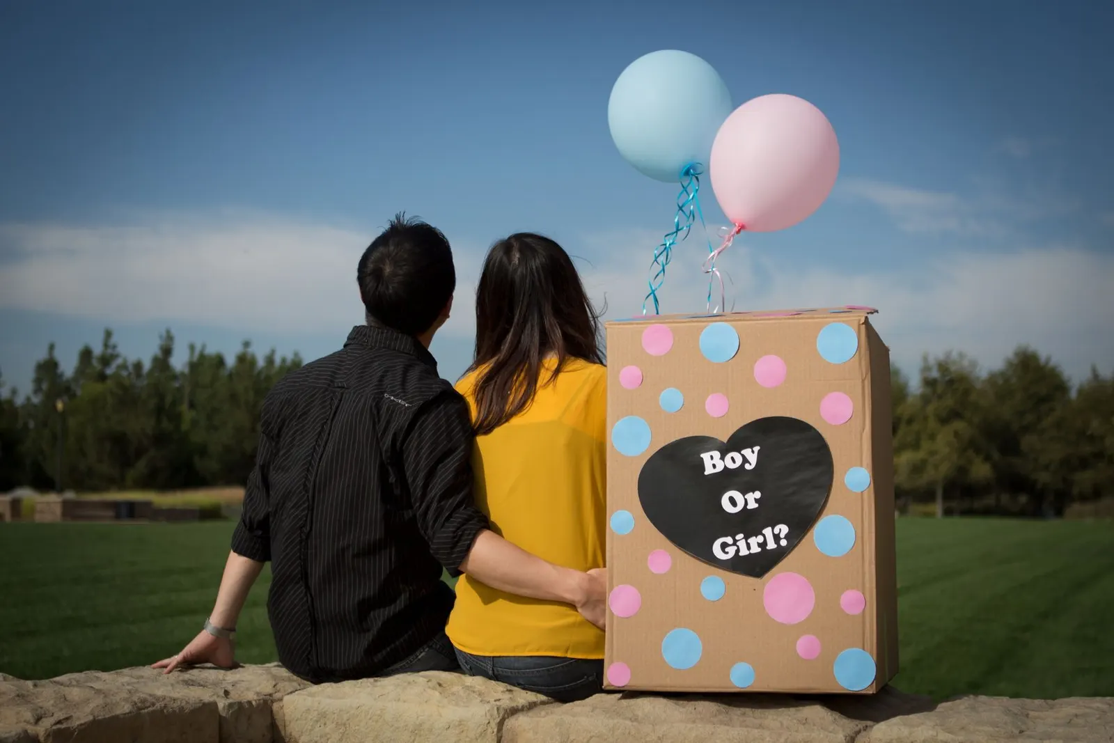 Couple with a “boy or girl” balloon box (sample image)