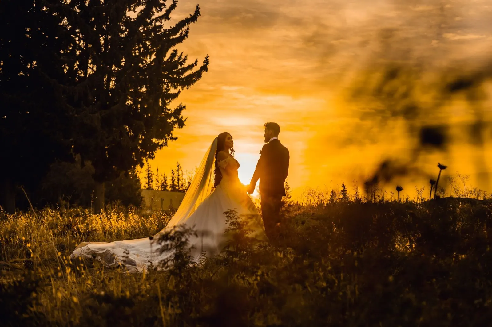 Bride and groom holding hands at golden hour (sample image)